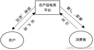 新农村的养殖种植将如何结合电商来销售?